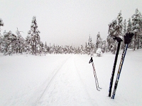 Riisitunturi National Park